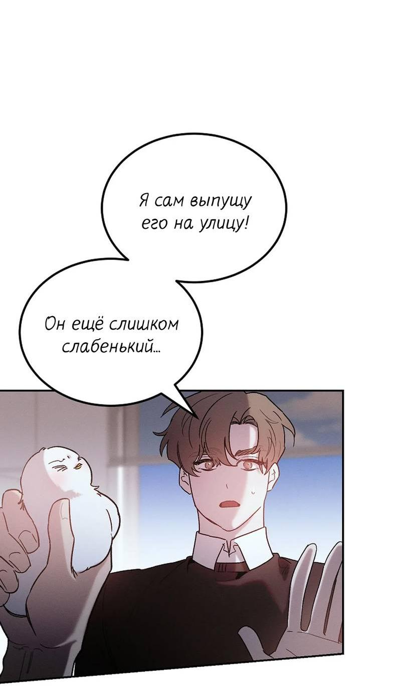 Манга Эй, не нажимай эту кнопку - Глава 62 Страница 8