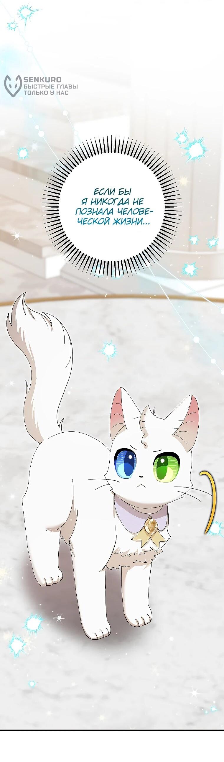 Манга Я стала кошкой императора - Глава 53 Страница 55