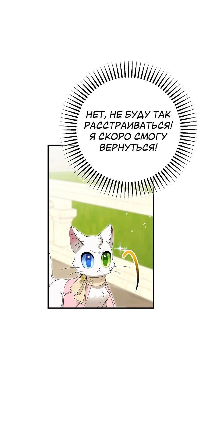 Манга Я стала кошкой императора - Глава 52 Страница 11