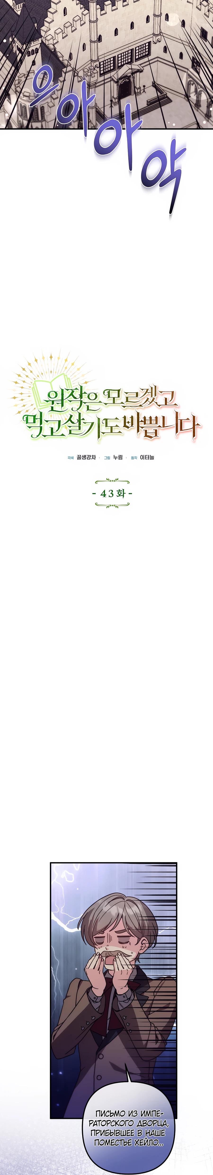 Манга Не знаю про оригинал, но я занята тем, что свожу концы с концами - Глава 43 Страница 9