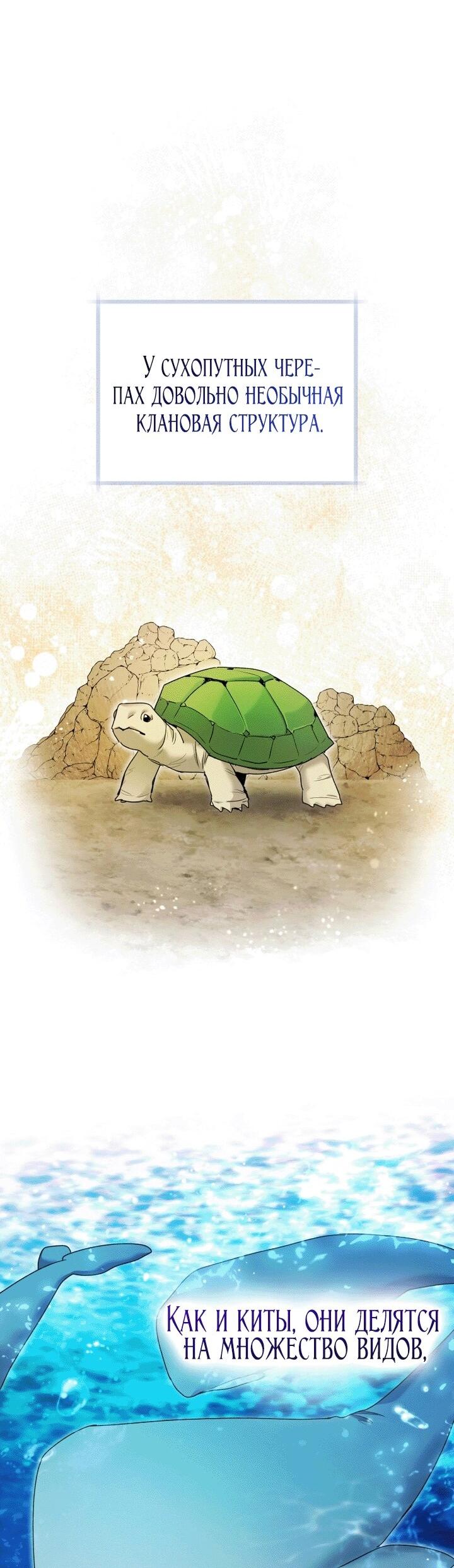 Манга Малышка-косатка - Глава 91 Страница 37