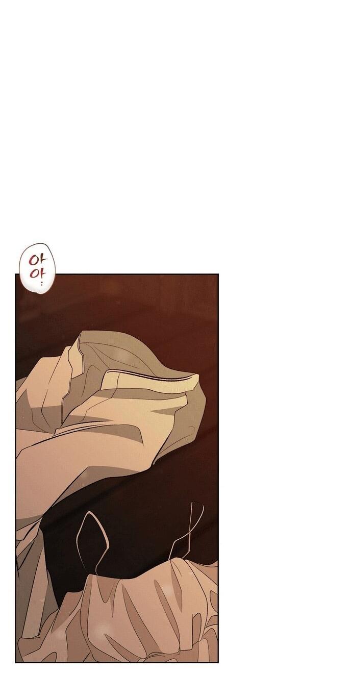 Манга Право на брачную ночь у лорда - Глава 31 Страница 26