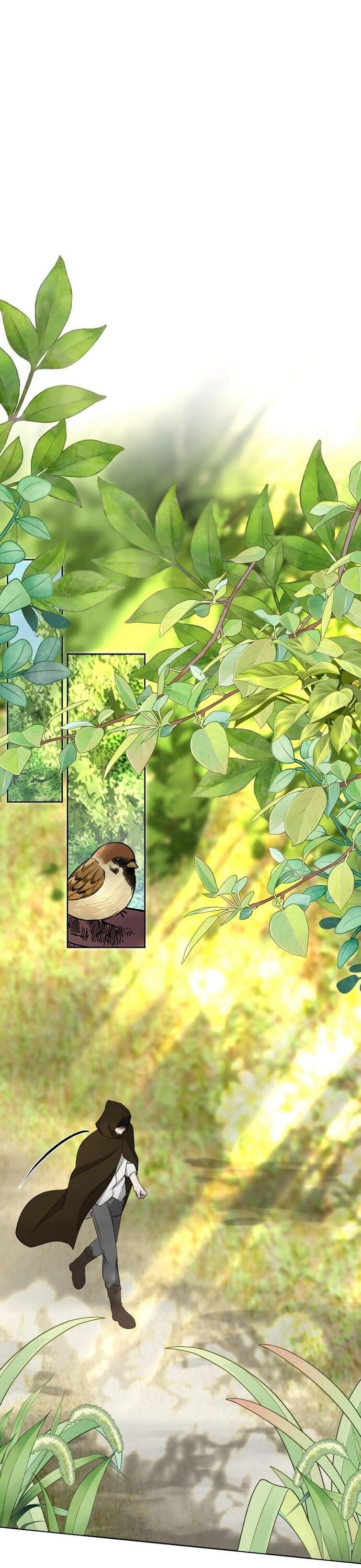 Манга Право на брачную ночь у лорда - Глава 29 Страница 27