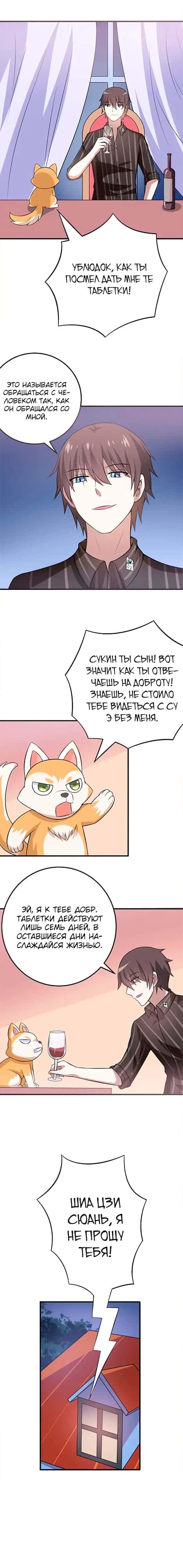 Манга К вашим услугам, котёнок - Глава 37 Страница 2