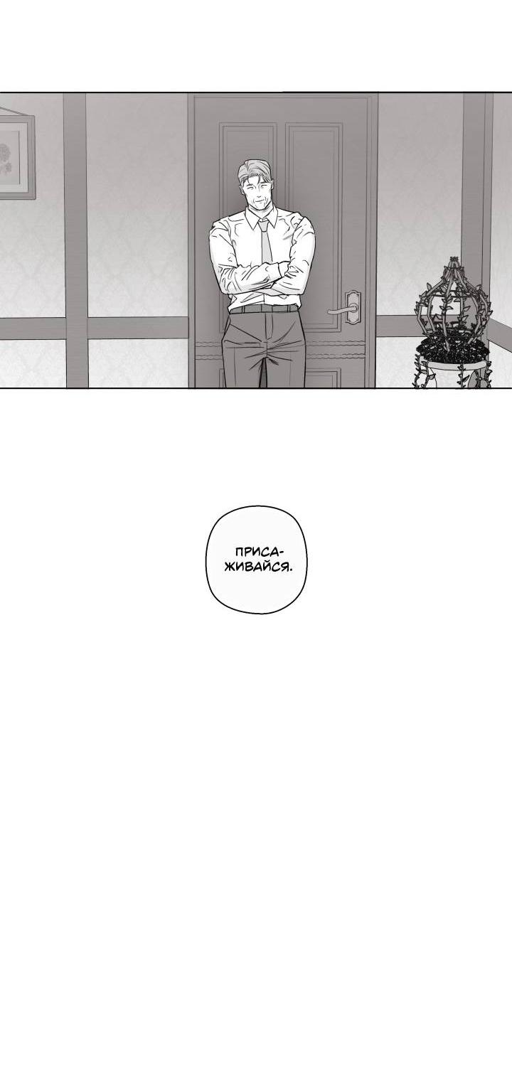 Манга Неукротимый чемпион - Глава 24 Страница 36