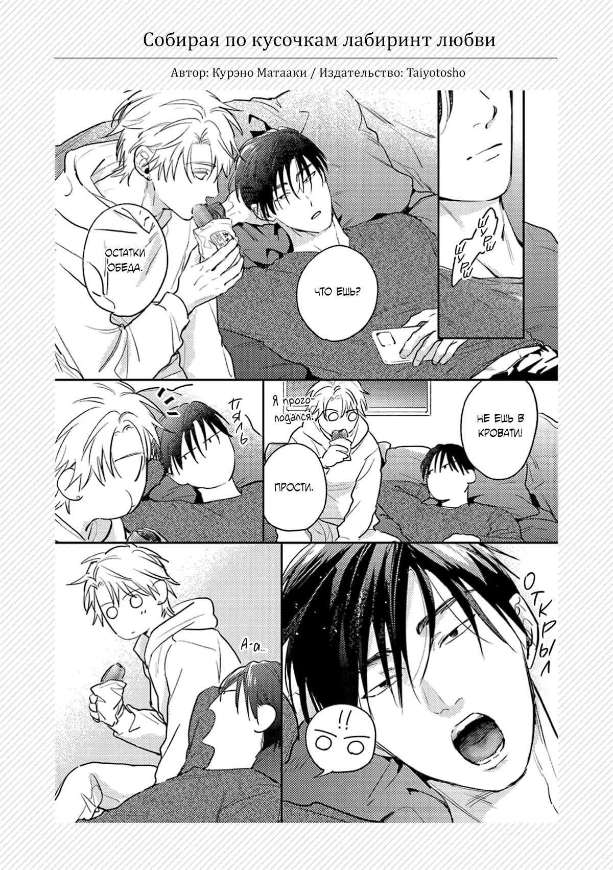 Манга Собирая по кусочкам лабиринт любви - Глава 6.6 Страница 9