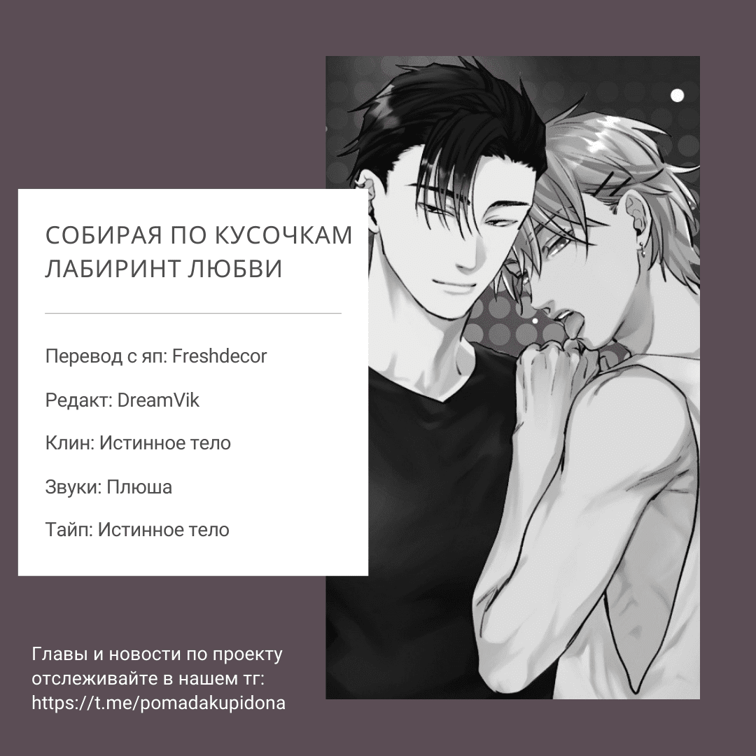 Манга Собирая по кусочкам лабиринт любви - Глава 6.6 Страница 11