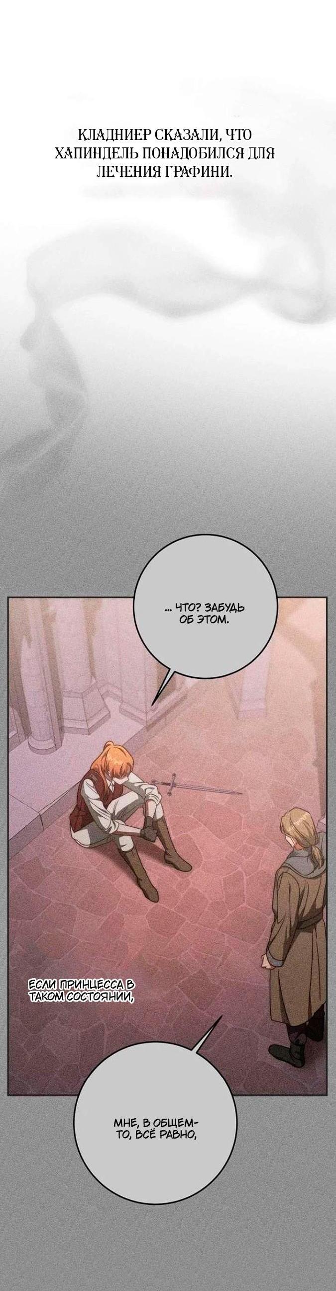 Манга За улыбкой выжившей принцессы - Глава 81 Страница 42