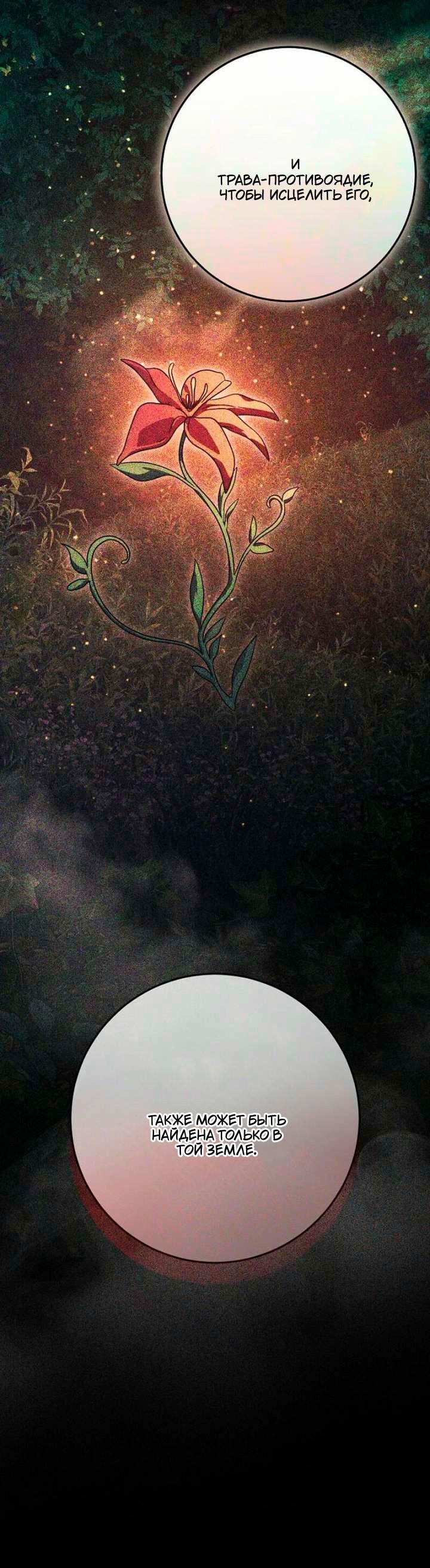 Манга За улыбкой выжившей принцессы - Глава 80 Страница 39