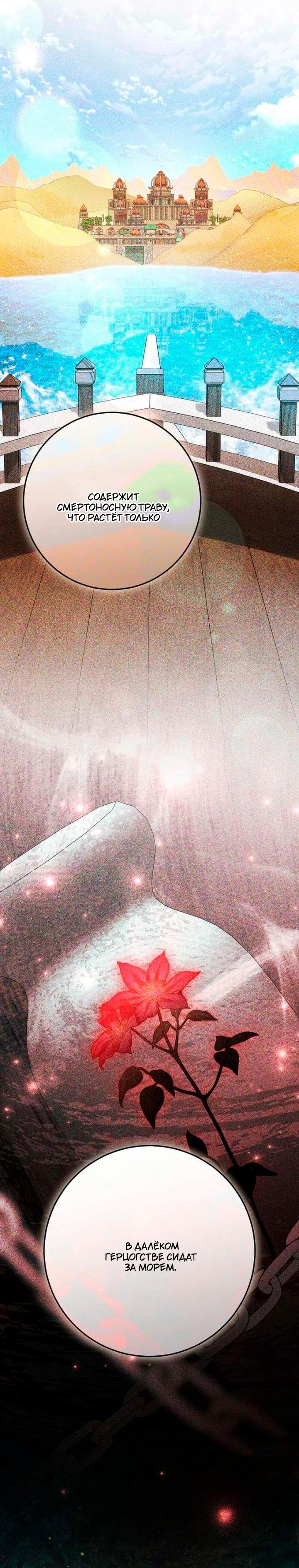 Манга За улыбкой выжившей принцессы - Глава 80 Страница 38