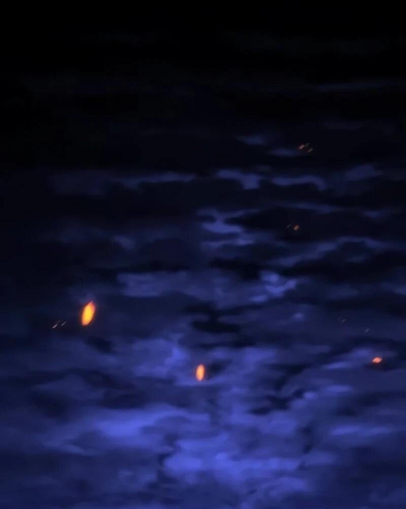 Манга Владыка Льда - Глава 59 Страница 69