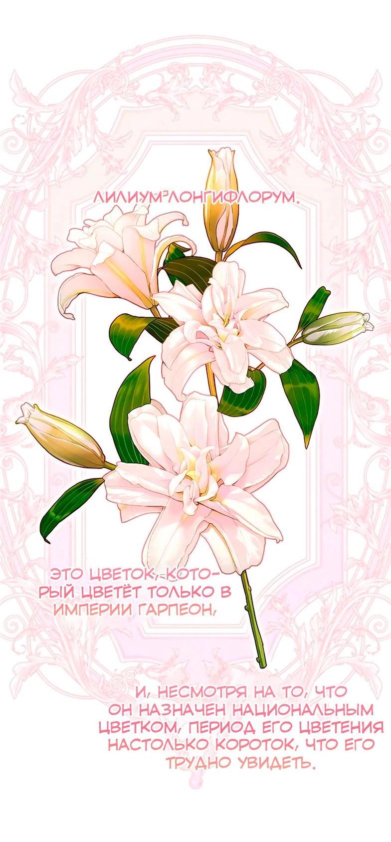 Манга Я не хочу быть леди - Глава 51 Страница 18