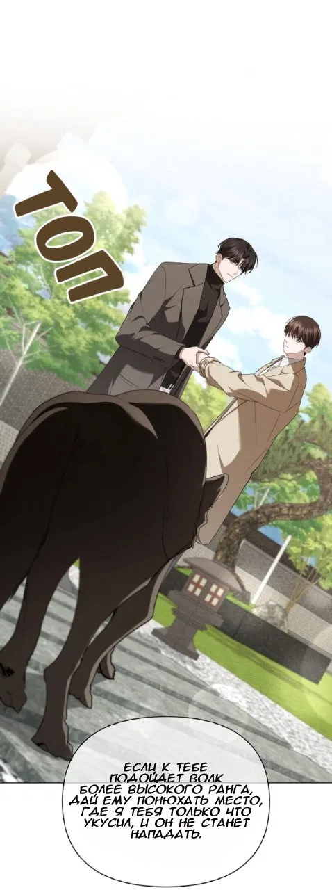 Манга Не трогай пёсика! - Глава 29 Страница 10