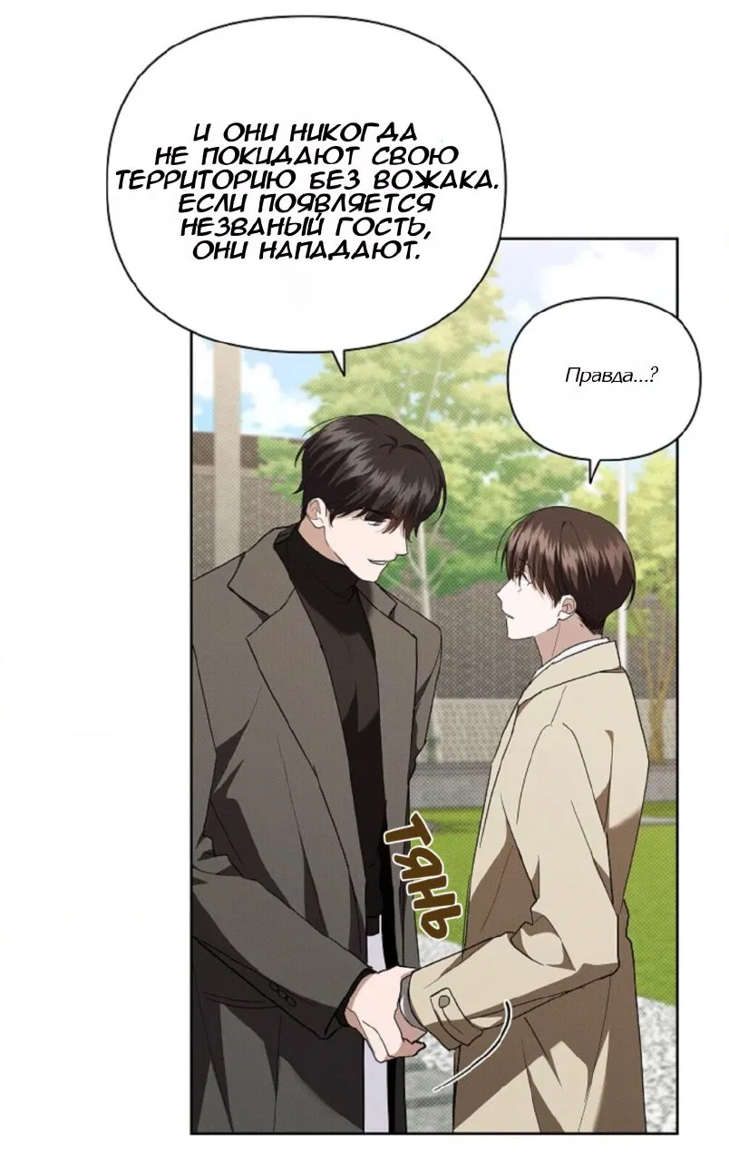 Манга Не трогай пёсика! - Глава 29 Страница 7