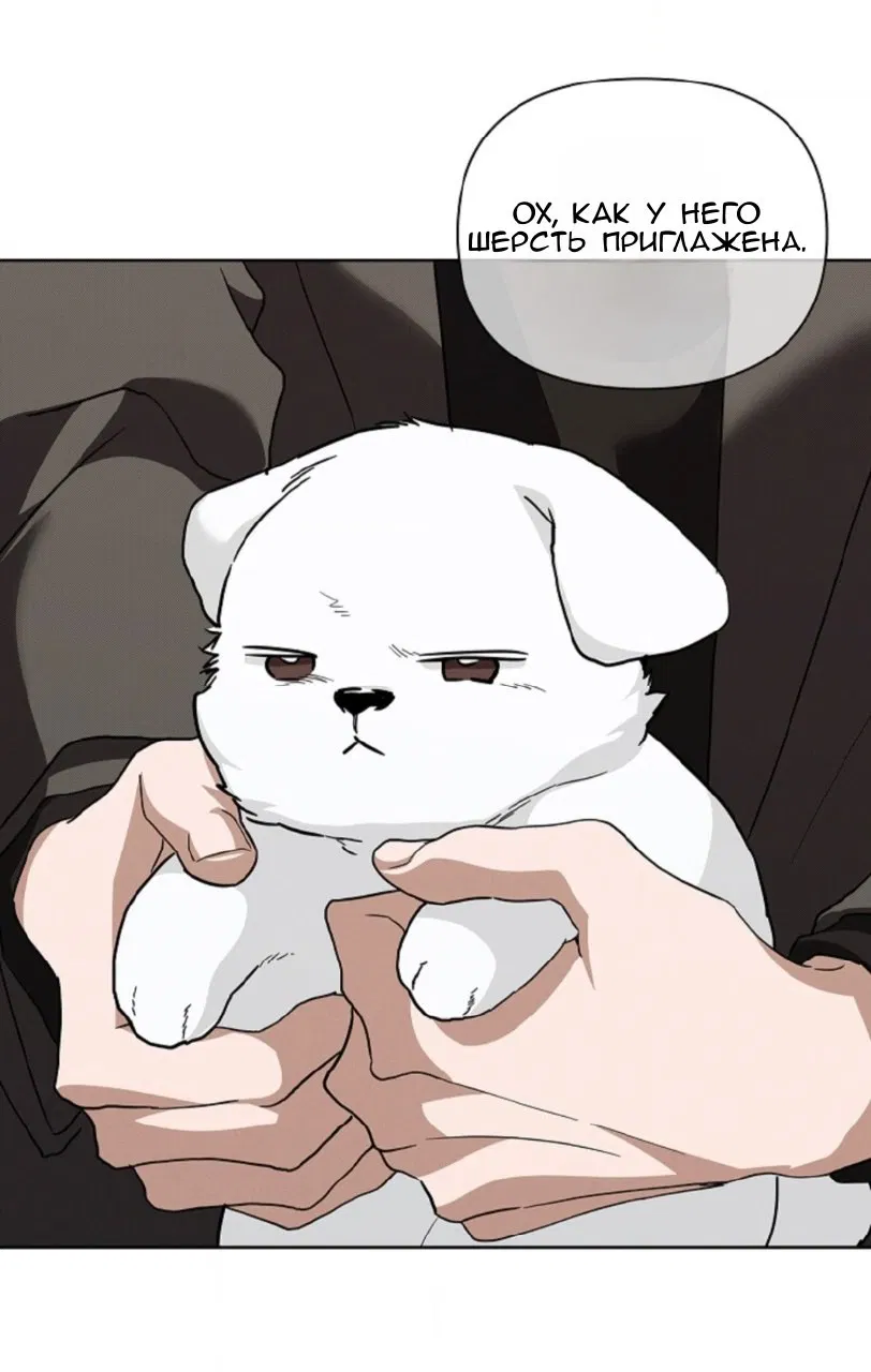 Манга Не трогай пёсика! - Глава 28 Страница 31