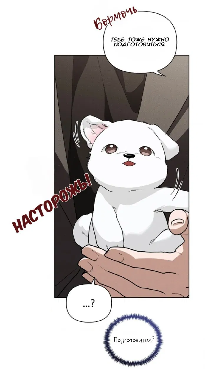 Манга Не трогай пёсика! - Глава 28 Страница 28