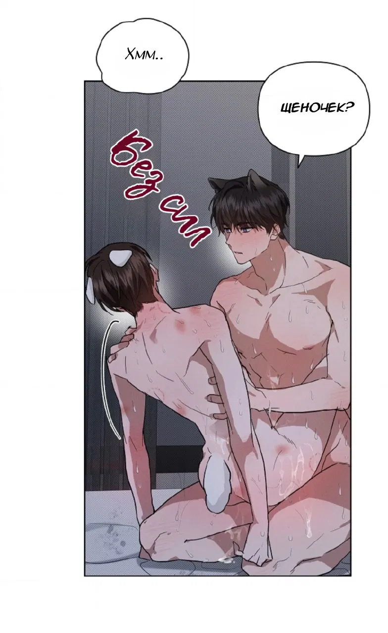 Манга Не трогай пёсика! - Глава 26 Страница 21