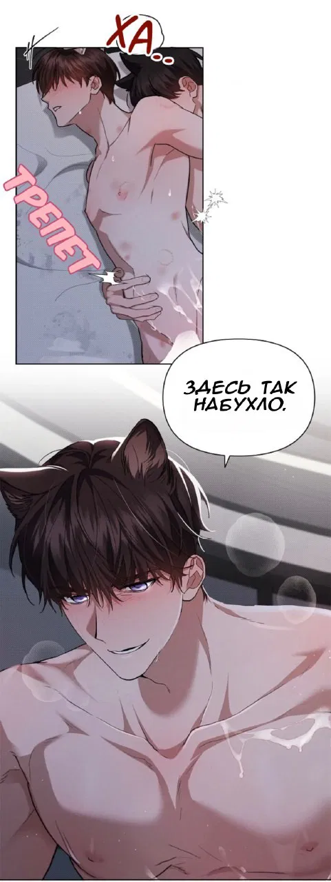 Манга Не трогай пёсика! - Глава 26 Страница 4