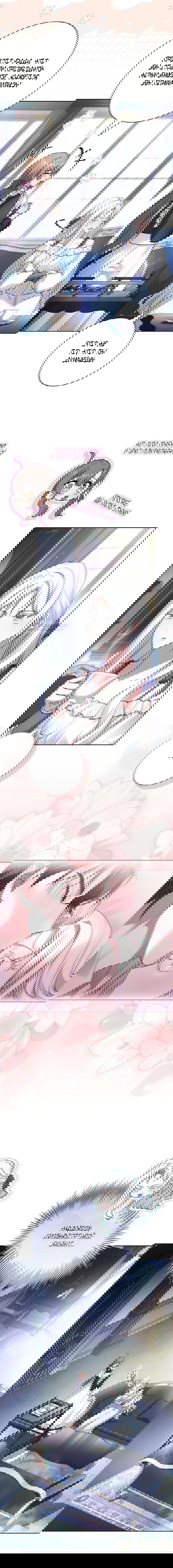 Манга Дорогой, почему мы не можем развестись? - Глава 65 Страница 10