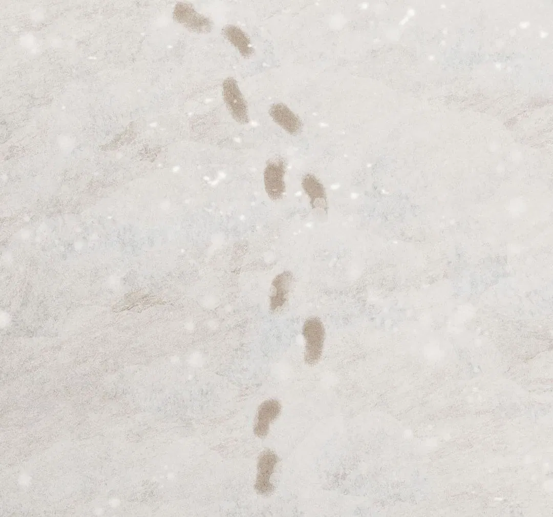 Манга Сердце лотоса - Глава 37 Страница 39