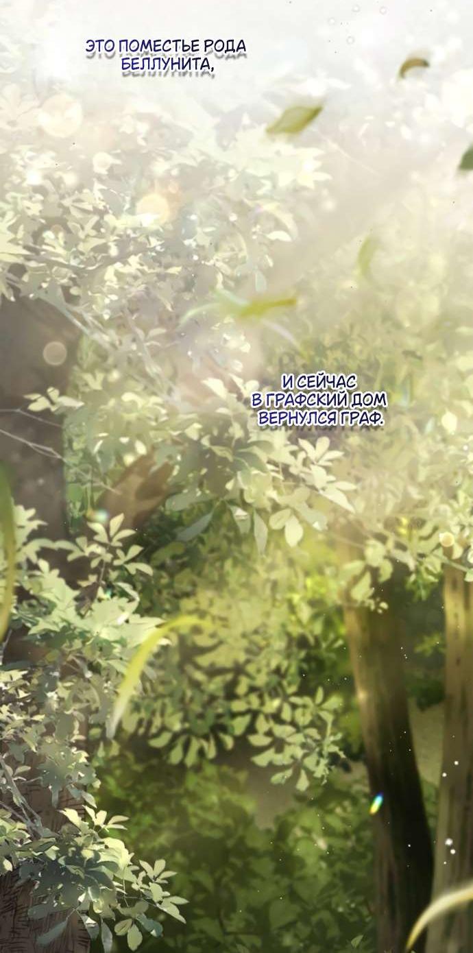 Манга Тайная служанка графа - Глава 58 Страница 45