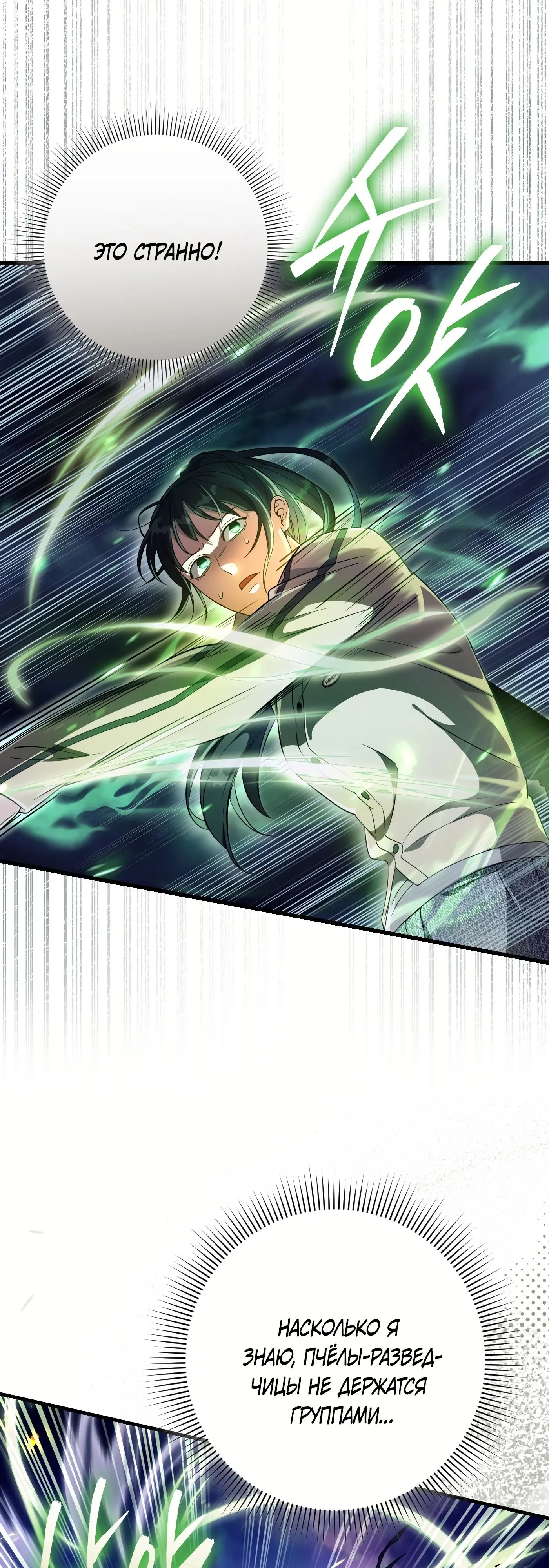 Манга Охотник из другого мира ввёл всех в заблуждение - Глава 70 Страница 20