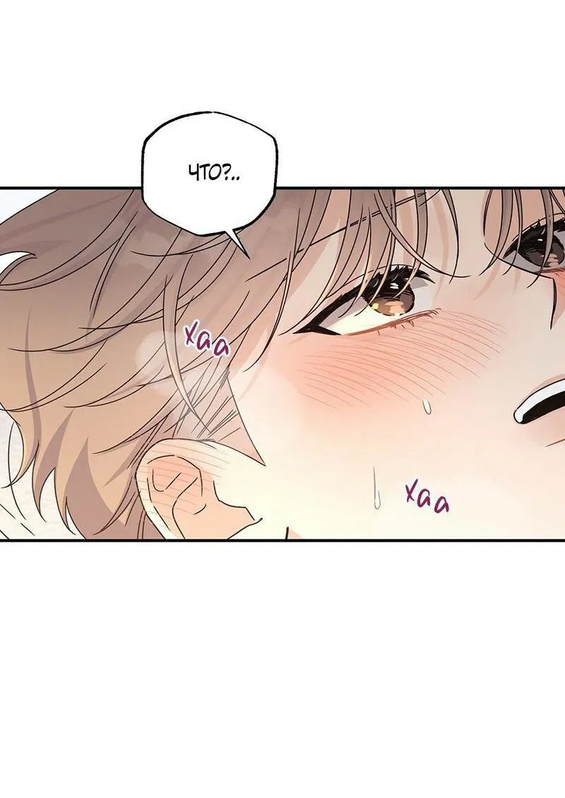 Манга Альфа травма - Глава 29 Страница 42