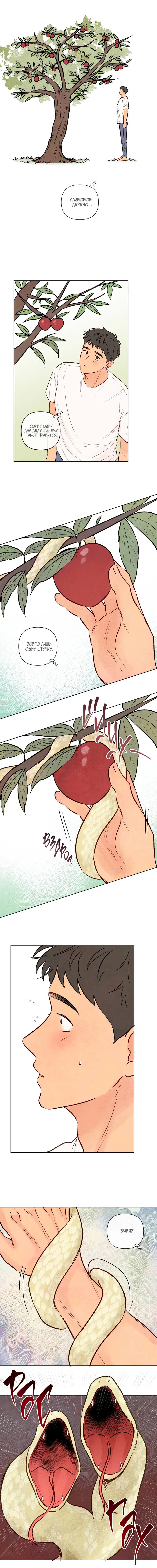 Манга Соблазнение священной змеи - Глава 25 Страница 37