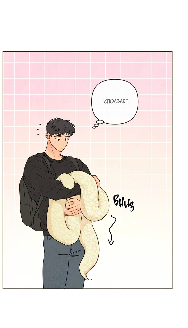 Манга Соблазнение священной змеи - Глава 31 Страница 64