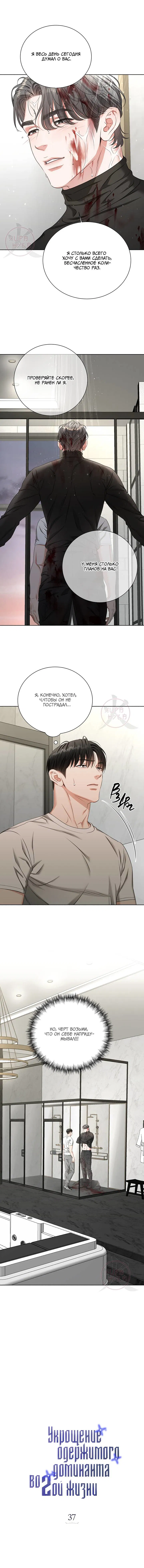 Манга Укрощение одержимого доминанта во второй жизни - Глава 37 Страница 4
