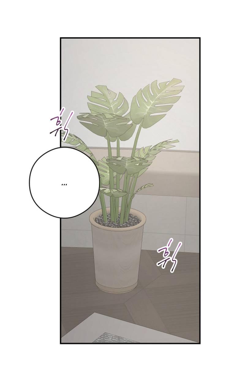 Манга Журнал наблюдений за одуванчиками - Глава 48 Страница 8