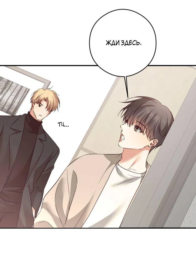 Манга Журнал наблюдений за одуванчиками - Глава 50 Страница 35