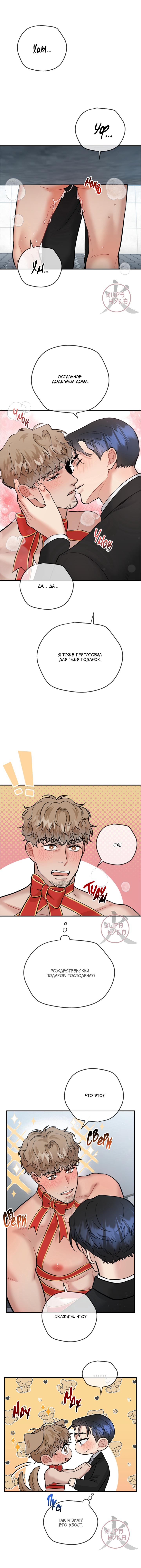 Манга БДСМ: Базовый курс - Глава 22 Страница 12
