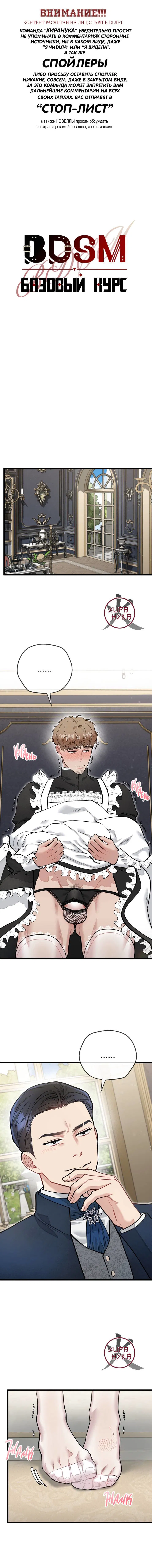 Манга БДСМ: Базовый курс - Глава 30 Страница 1