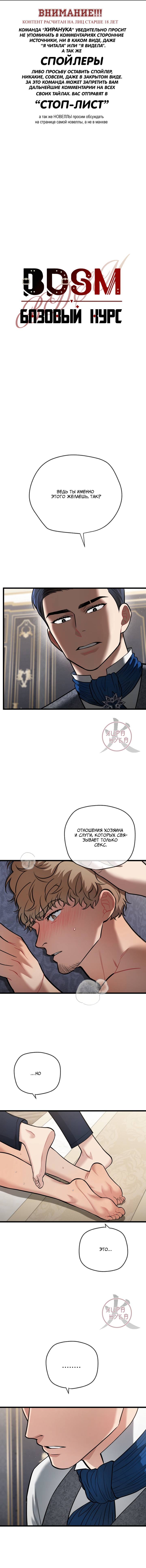 Манга БДСМ: Базовый курс - Глава 31 Страница 1