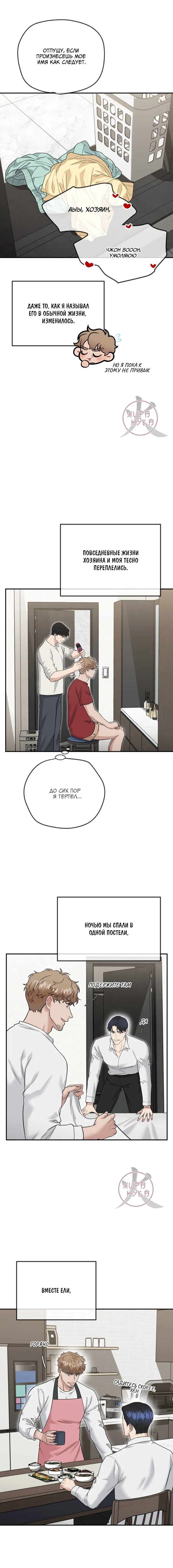 Манга БДСМ: Базовый курс - Глава 33 Страница 8