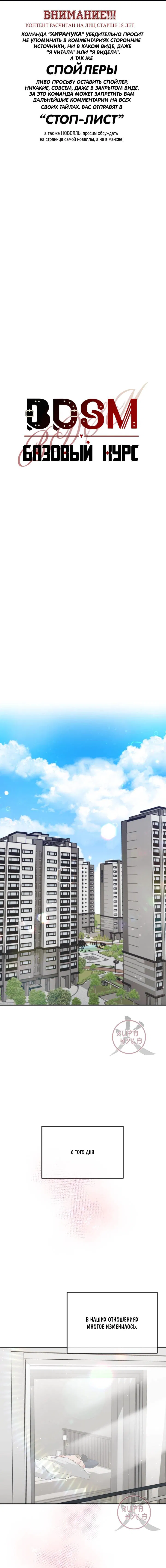 Манга БДСМ: Базовый курс - Глава 33 Страница 1