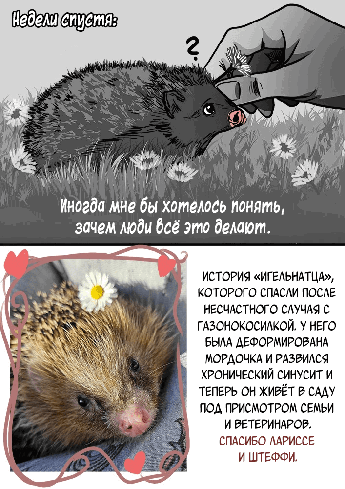 Манга Любящий Жнец - Глава 68 Страница 8