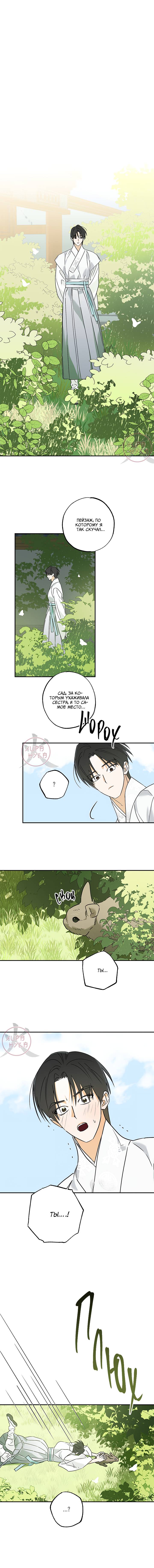 Манга Лунная сказка - Глава 41 Страница 9