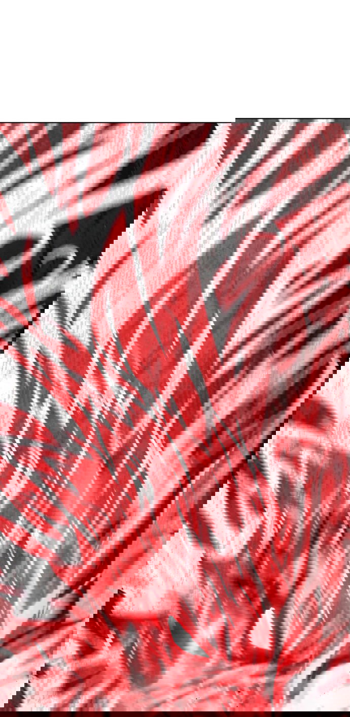 Манга Врата небесного дракона - Глава 23 Страница 87