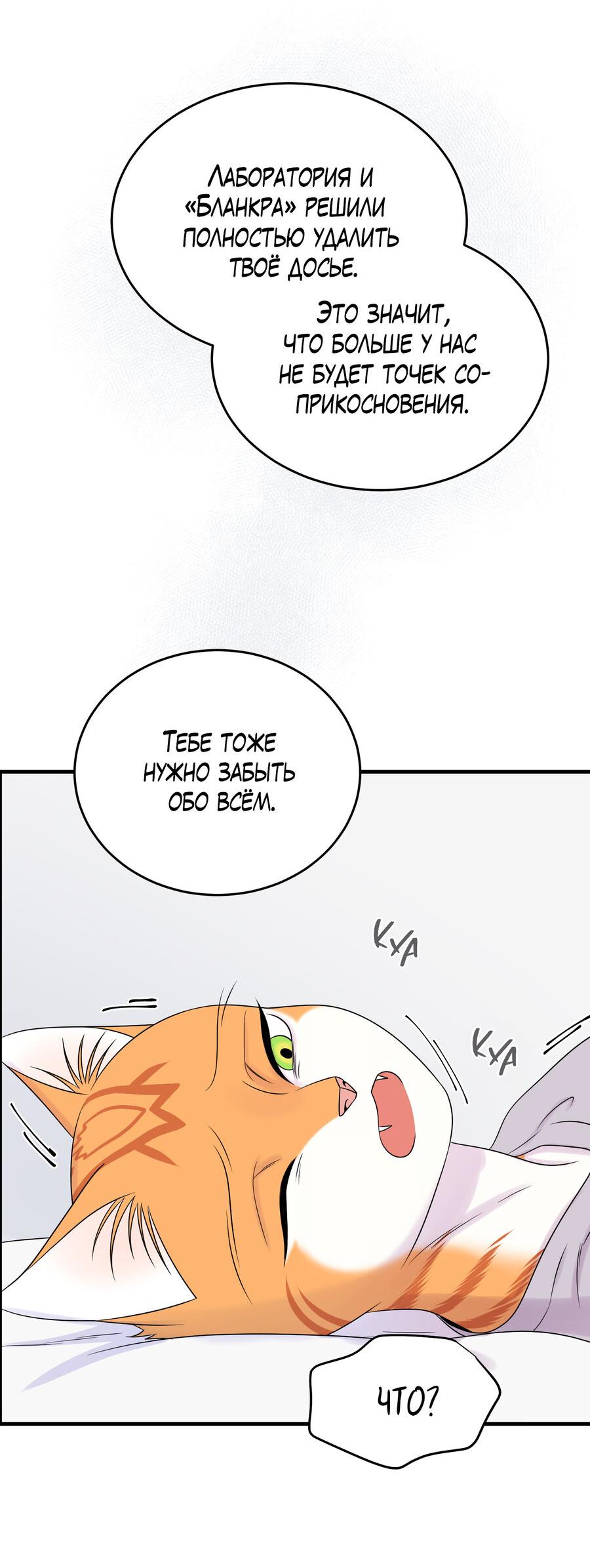 Манга Проект "Синий" - Глава 84 Страница 46