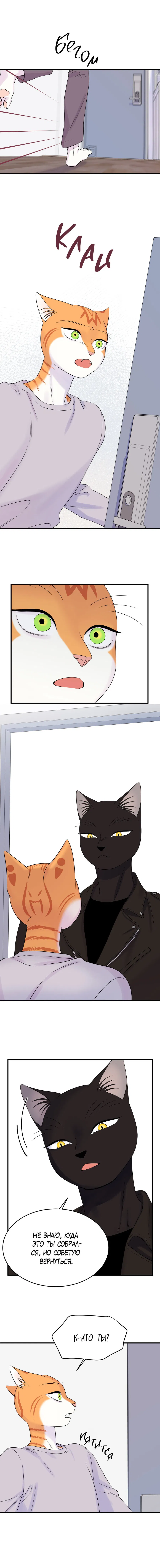 Манга Проект "Синий" - Глава 84 Страница 41