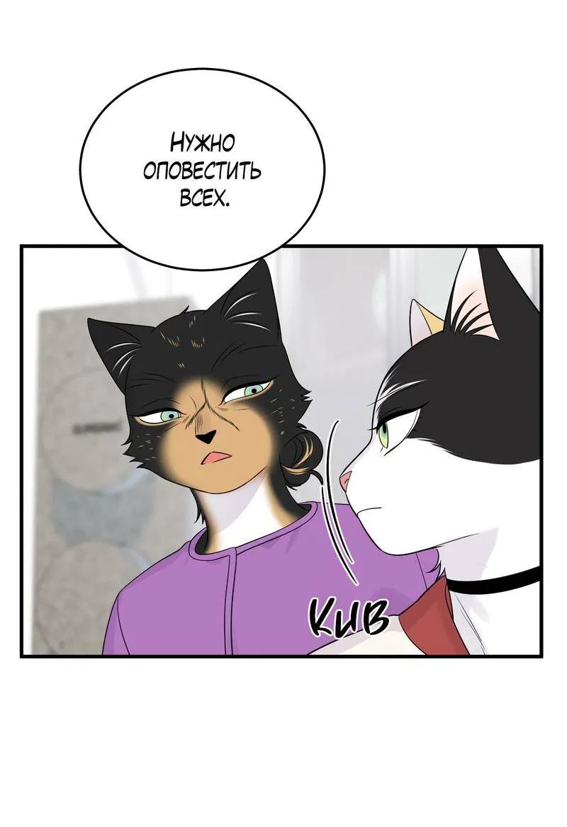 Манга Проект "Синий" - Глава 86 Страница 20