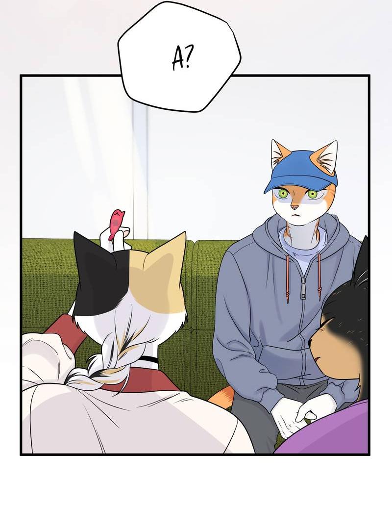 Манга Проект "Синий" - Глава 86 Страница 14