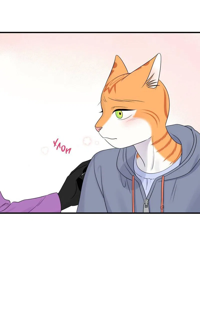 Манга Проект "Синий" - Глава 86 Страница 22