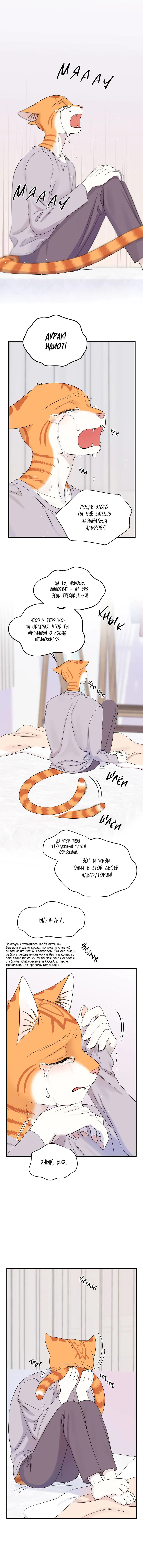 Манга Проект "Синий" - Глава 85 Страница 6