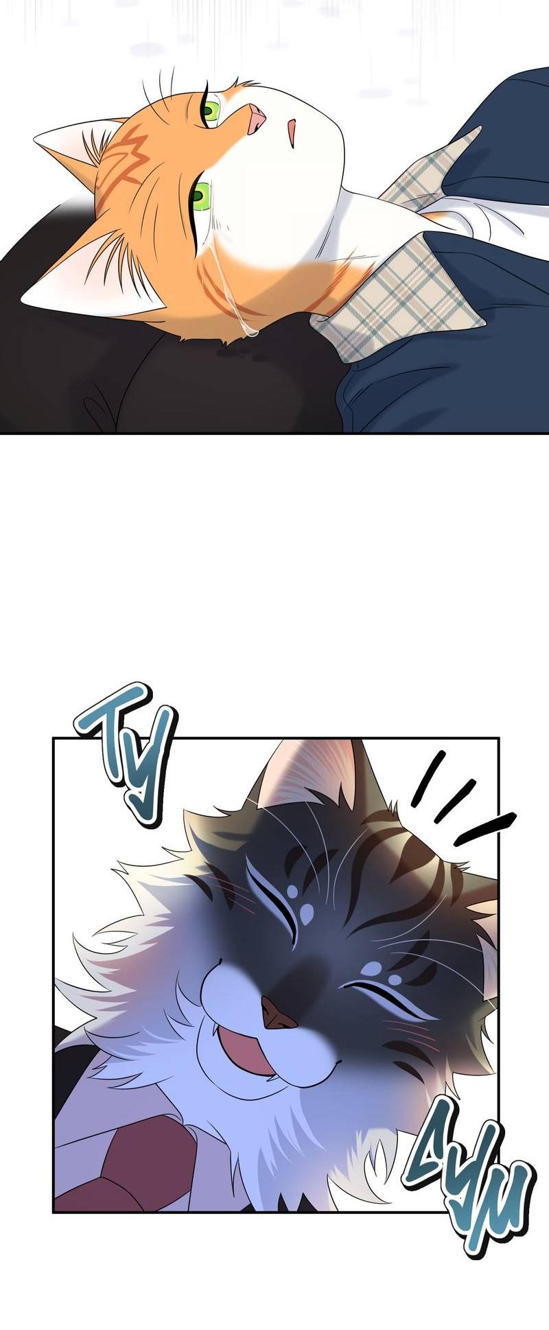 Манга Проект "Синий" - Глава 88 Страница 14