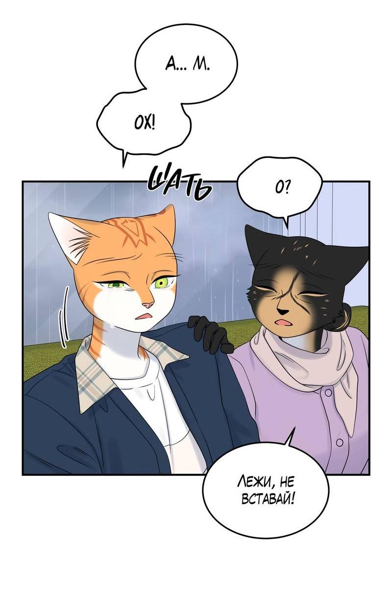 Манга Проект "Синий" - Глава 88 Страница 17