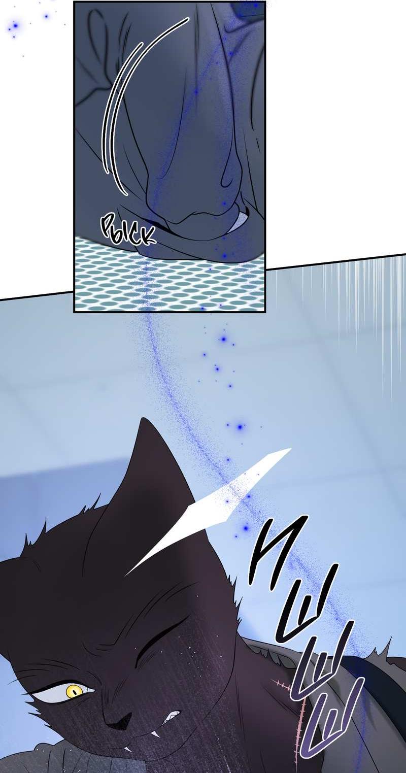 Манга Проект "Синий" - Глава 97 Страница 19