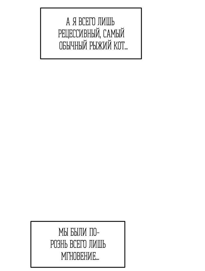 Манга Проект "Синий" - Глава 97 Страница 3